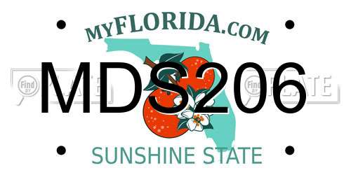 MDS206 Florida License Plate