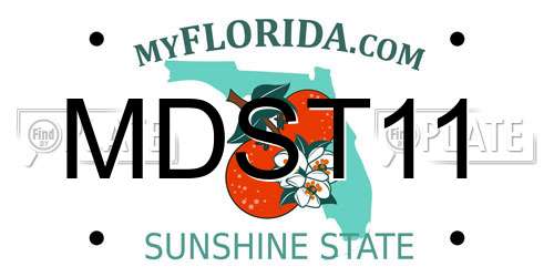 MDST11 Florida License Plate