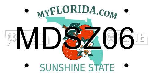 MDSZ06 Florida License Plate