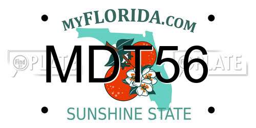 MDT56 Florida License Plate