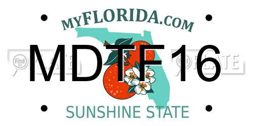 MDTF16 Florida License Plate