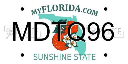 MDTQ96 Florida License Plate