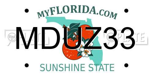 MDUZ33 Florida License Plate