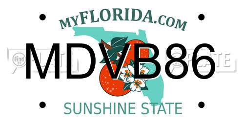 MDVB86 Florida License Plate