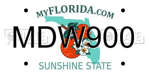 MDW900 Florida License Plate