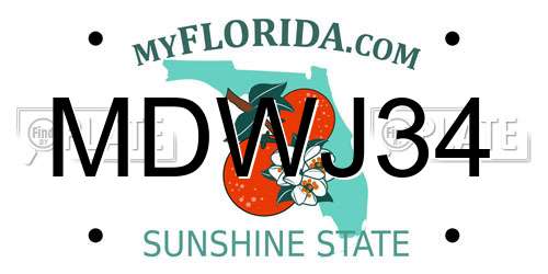 MDWJ34 Florida License Plate