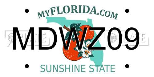 MDWZ09 Florida License Plate