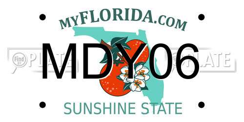 MDY06 Florida License Plate