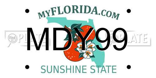 MDY99 Florida License Plate