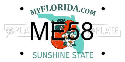 ME58 Florida License Plate