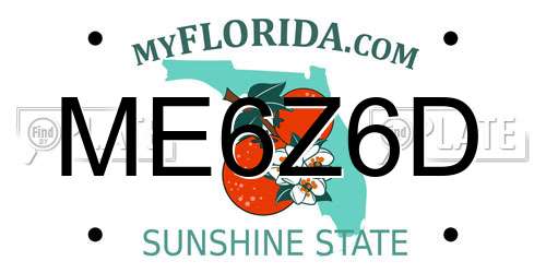 ME6Z6D Florida License Plate