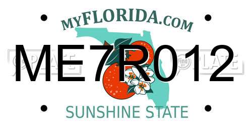 ME7R012 Florida License Plate