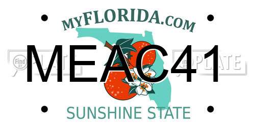 MEAC41 Florida License Plate