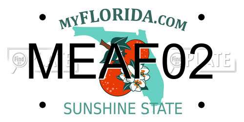 MEAF02 Florida License Plate