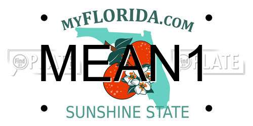 MEAN1 Florida License Plate