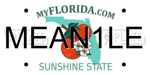 MEAN1LE Florida License Plate