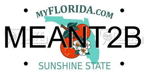 MEANT2B Florida License Plate