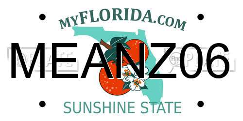 MEANZ06 Florida License Plate