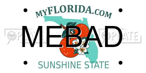 MEBAD Florida License Plate