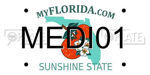 MEDI01 Florida License Plate