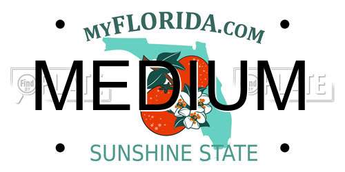 MEDIUM Florida License Plate