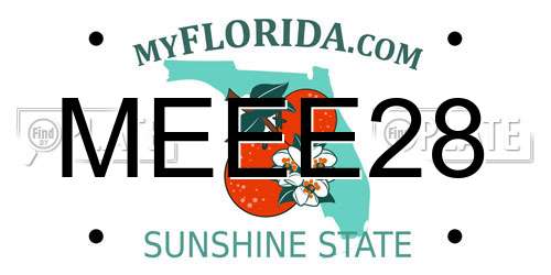 MEEE28 Florida License Plate