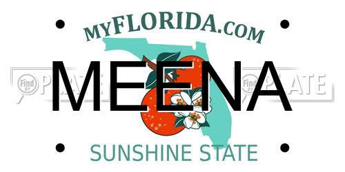 MEENA Florida License Plate