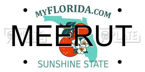MEERUT Florida License Plate