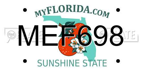 MEF698 Florida License Plate