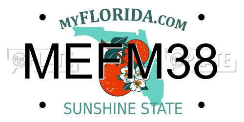 MEFM38 Florida License Plate