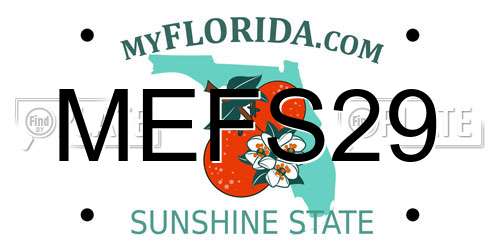 MEFS29 Florida License Plate
