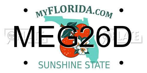 MEG26D Florida License Plate