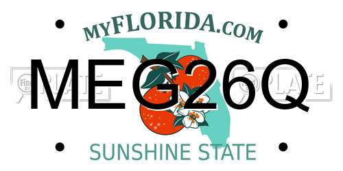 MEG26Q Florida License Plate