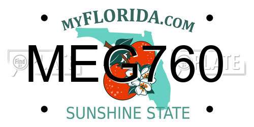 MEG760 Florida License Plate