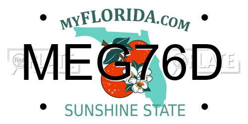 MEG76D Florida License Plate