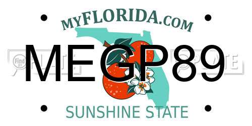 MEGP89 Florida License Plate