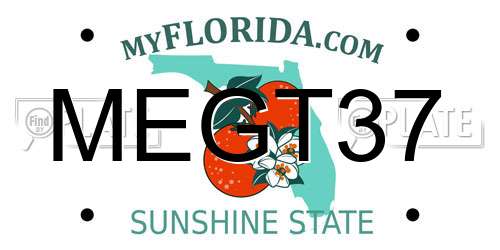 MEGT37 Florida License Plate