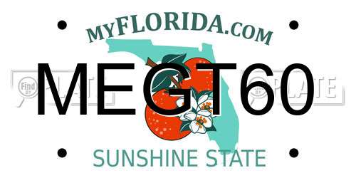 MEGT60 Florida License Plate