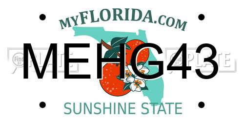 MEHG43 Florida License Plate