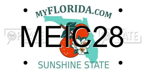 MEIC28 Florida License Plate