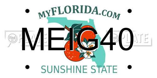 MEIG40 Florida License Plate