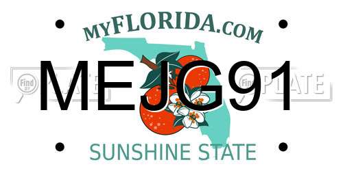 MEJG91 Florida License Plate