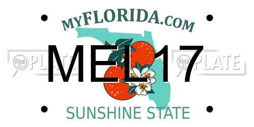 MEL17 Florida License Plate