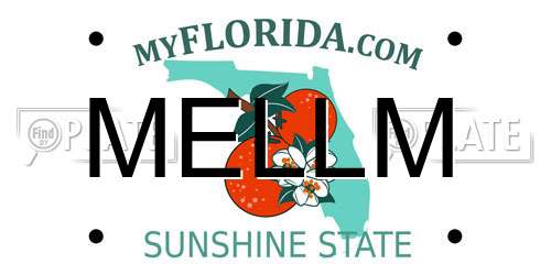 MELLM Florida License Plate
