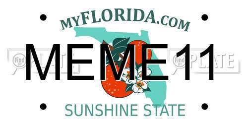 MEME11 Florida License Plate