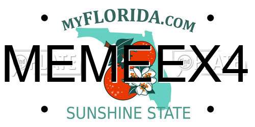 MEMEEX4 Florida License Plate