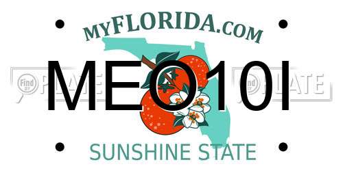 MEO10I Florida License Plate