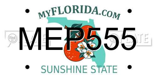 MEP555 Florida License Plate