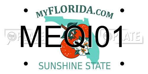 MEQI01 Florida License Plate