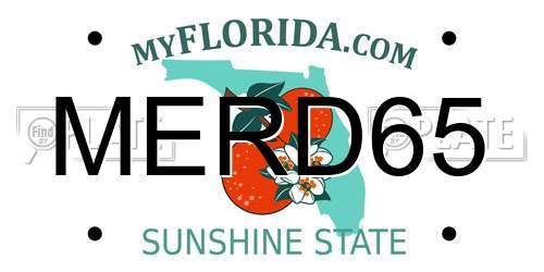 MERD65 Florida License Plate